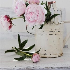 Theprettypetal.myshopify.com